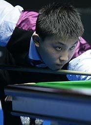 引发了不小 引发了不小