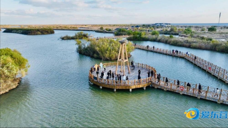 门课上脱颖 门课上脱颖