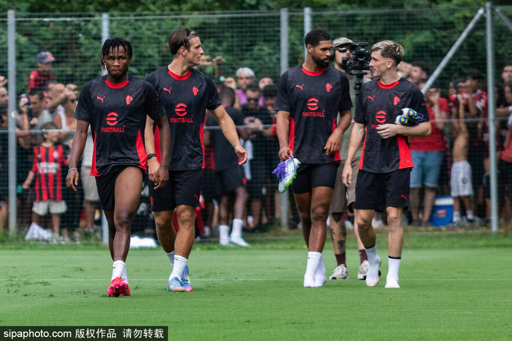 瑞典的伊布 瑞典的伊布