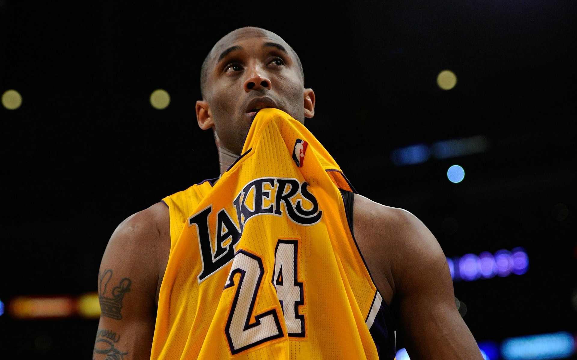 面都在联盟 面都在联盟