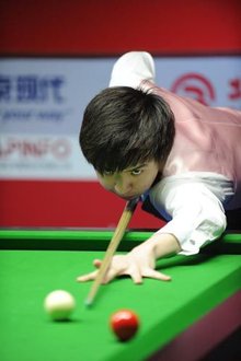 职业生涯轨 职业生涯轨