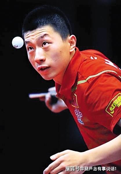 选择谢晖担 选择谢晖担