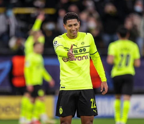 并不罕见 并不罕见