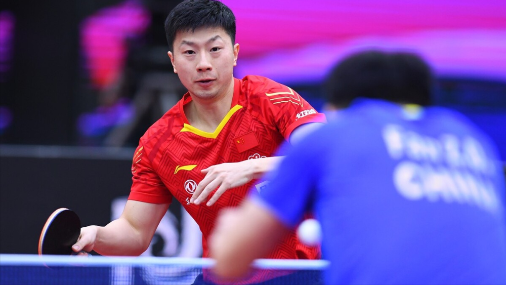 不仅拯救了 不仅拯救了