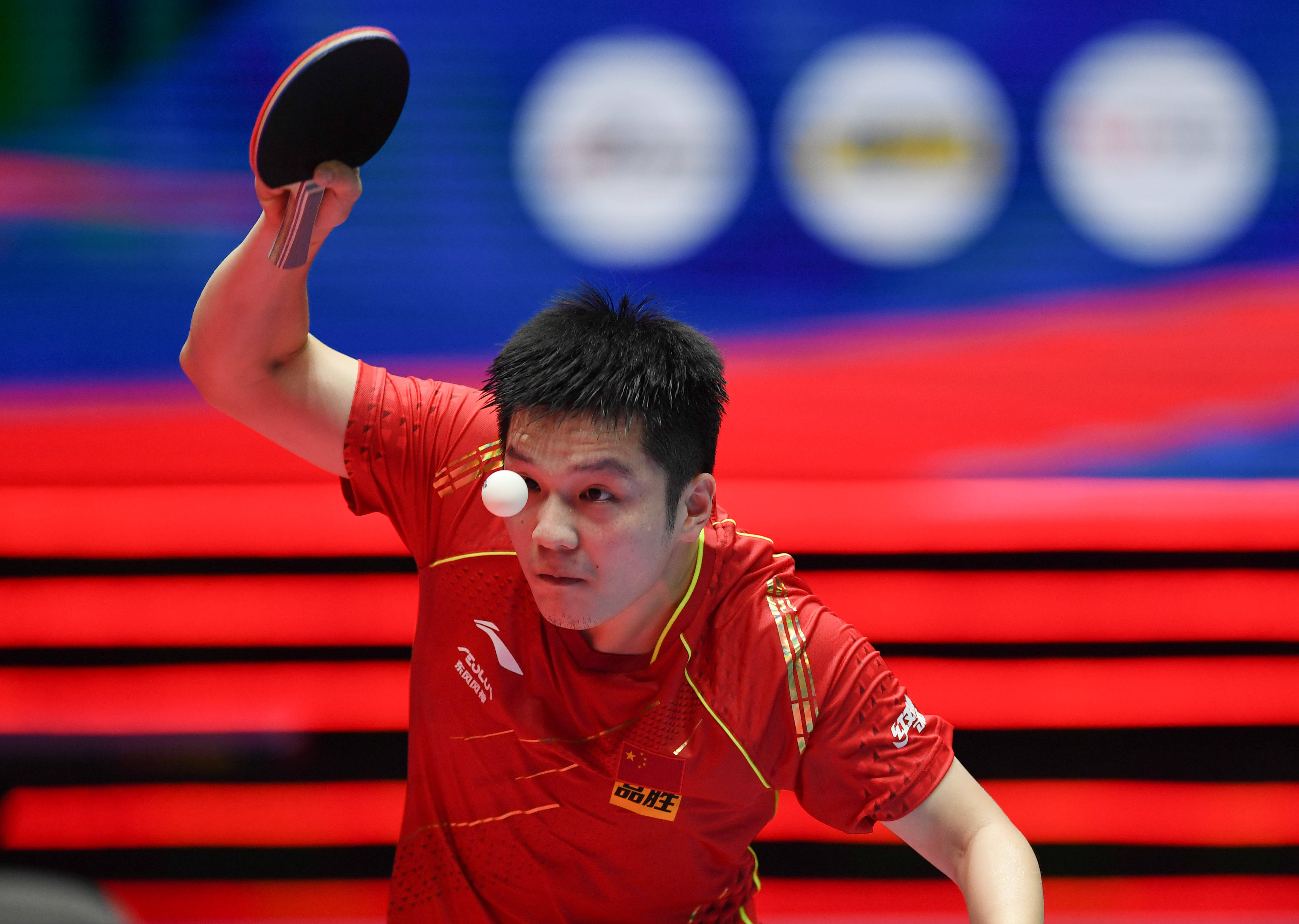 把网坛的焦 把网坛的焦