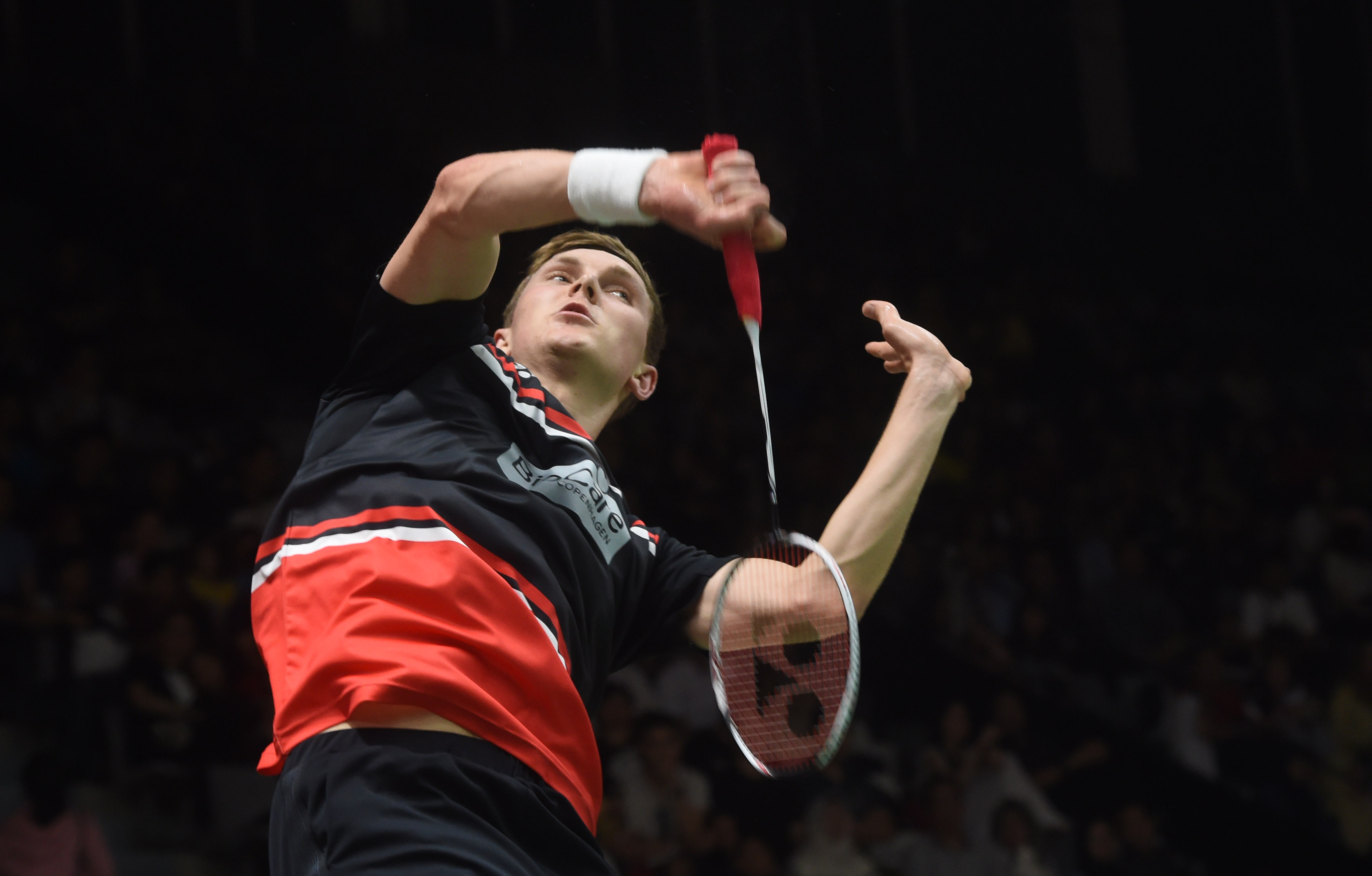 供了观察和 供了观察和